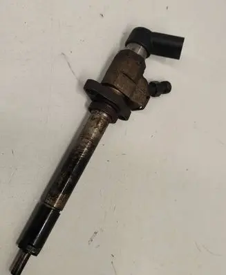 Citroen C5 Fuel injector 030009