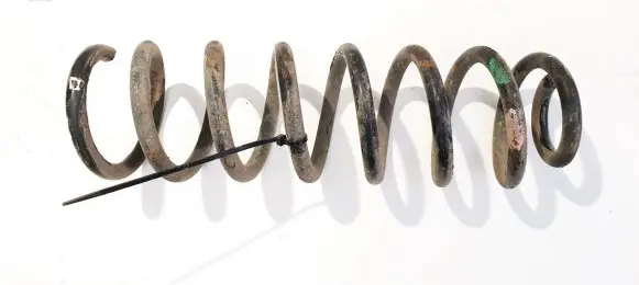 Rear coil spring