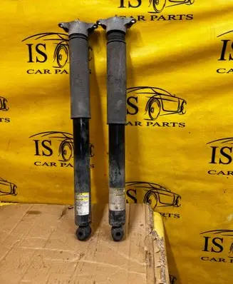 Ford Escape III Rear shock absorber/damper CV6118080NLE