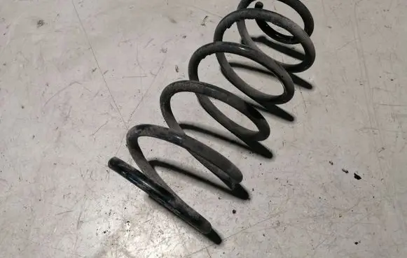 Rear coil spring