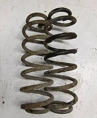Rear coil spring