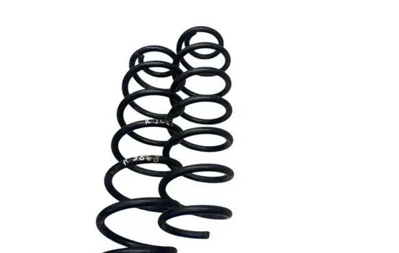 Rear coil spring