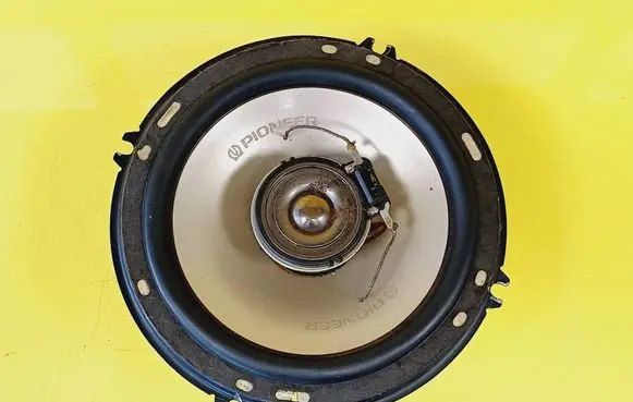 Renault Scenic I Front door speaker