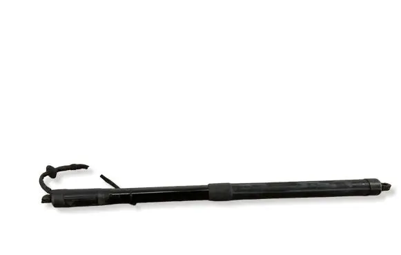 Land Rover Evoque I Tailgate/trunk strut/damper BJ3270354AF 10092018 140654