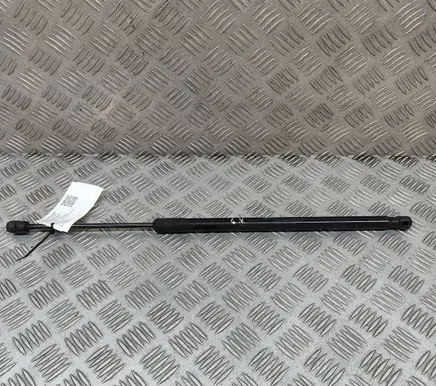 Tailgate/trunk strut/damper