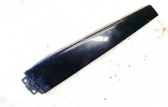 Other front door trim element