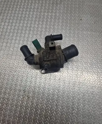 Thermostat/thermostat housing