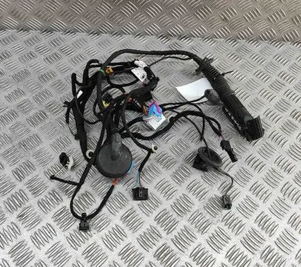 Skoda Enyaq iV Front door wiring loom 5LB971120F