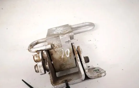 Rear door lower hinge