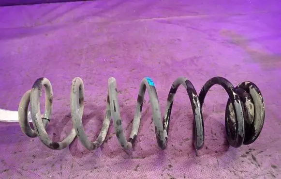 Volkswagen Golf IV Rear coil spring