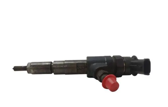 Citroen C3 Fuel injector 0445110252 565889