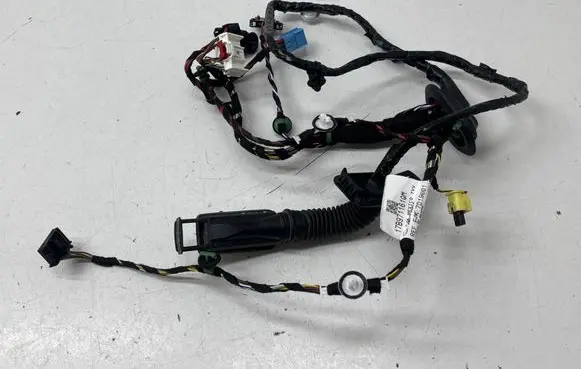 Volkswagen Jetta VII Front door wiring loom 17B971161 7D19001