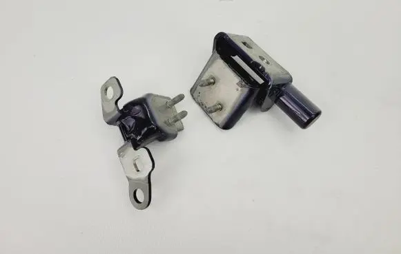 Renault Zoe Rear door hinge set 