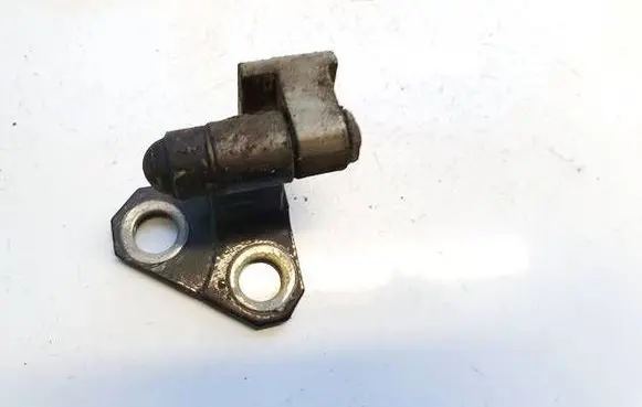 Volkswagen PASSAT B6 Rear door lower hinge 
