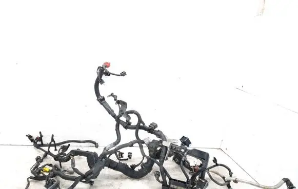 Renault Koleos I Engine installation wiring loom 24011JY00B
