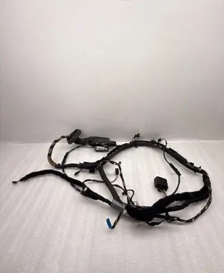 Front door wiring loom