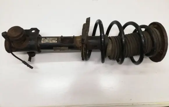 Opel Signum Front shock absorber with coil spring