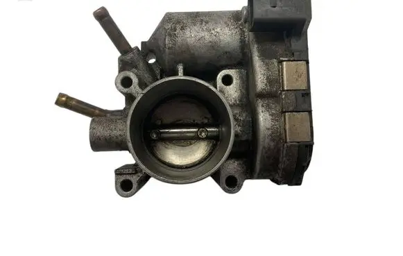 Throttle body valve