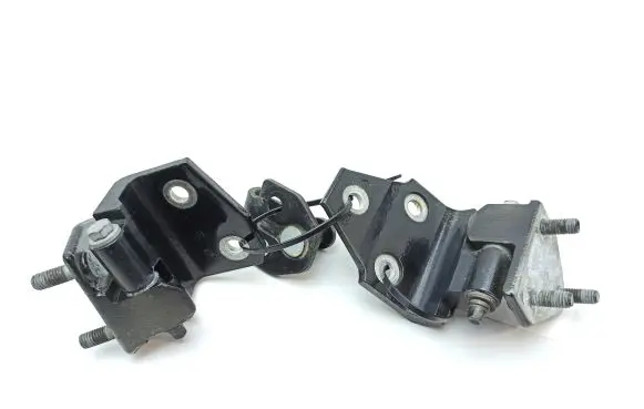 Jaguar XJ X308 Rear door hinge set 