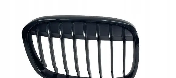 BMW X1 F48 F49 Front grill 7383364