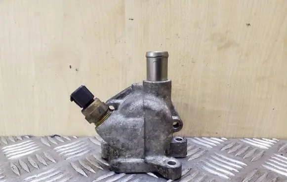 Thermostat/thermostat housing