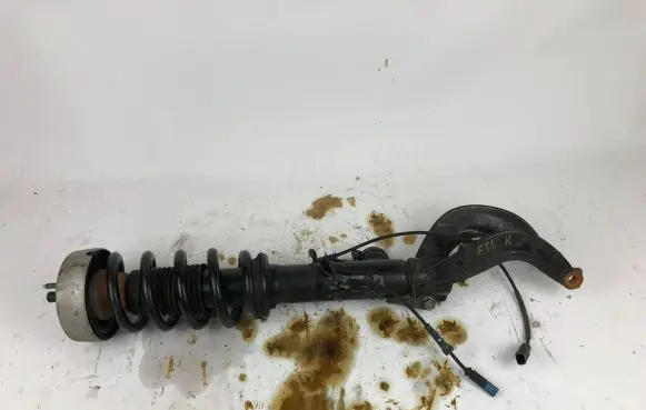 BMW X6 F16 Front shock absorber with coil spring 7849894 02061616017