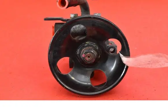 Hyundai Santa Fe Power steering pump 