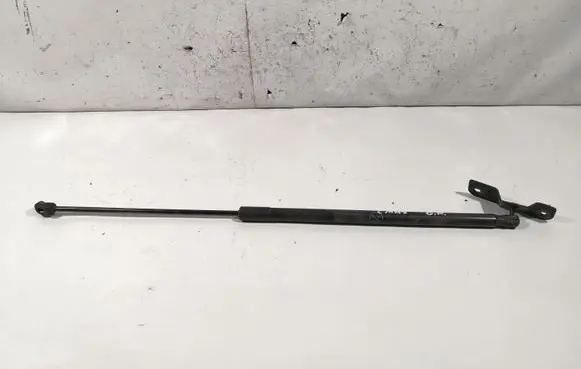 Ford C-MAX II Tailgate/trunk strut/damper AM51R406A10AE