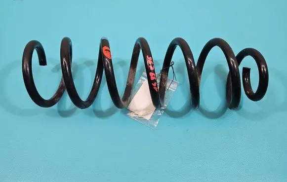 Rear coil spring