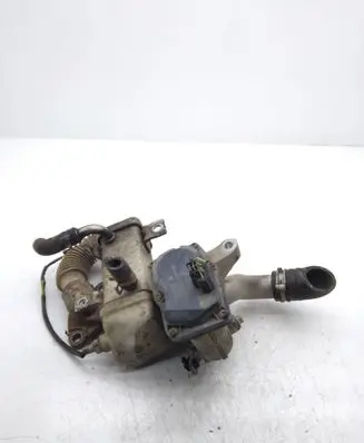 Renault Scenic III - Grand scenic III EGR valve H8201068965