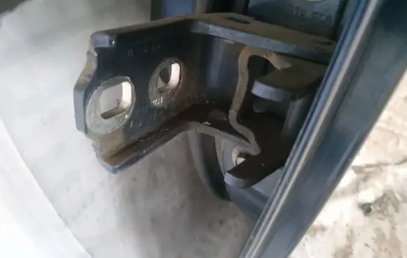 Rear door lower hinge