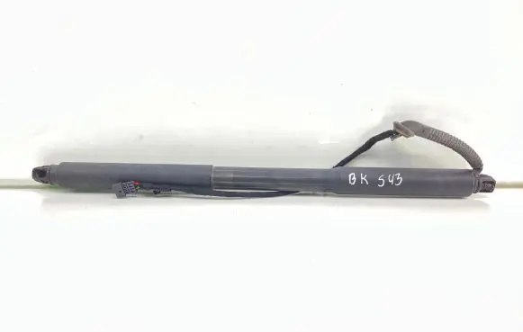 BMW 3 F30 F35 F31 Tailgate strut 7340975 W0365612 734097501