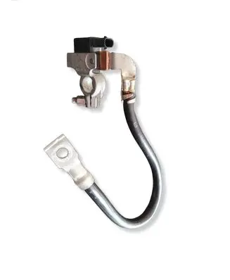 BMW 3 F30 F35 F31 Negative earth cable (battery) 61219117877
