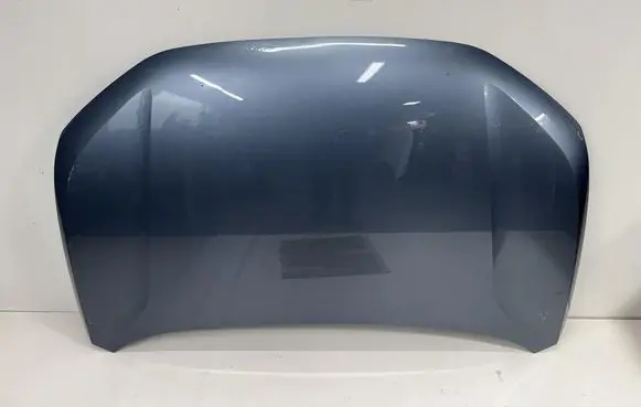 Audi e-tron Engine bonnet/hood 89A823155