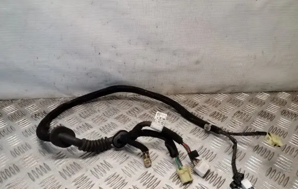 Hyundai Terracan Other wiring loom 91690H1010