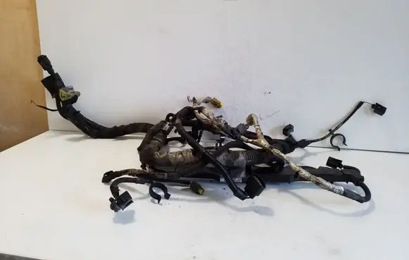 Ford Transit Custom Engine installation wiring loom CK2T12B637