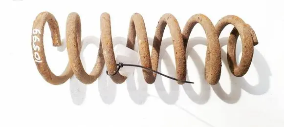 Rear coil spring