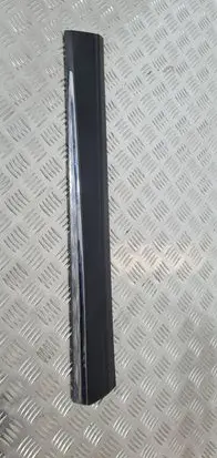 Nissan Murano Z51 Rear door trim (molding)