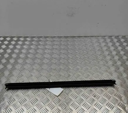 Rear door glass trim molding