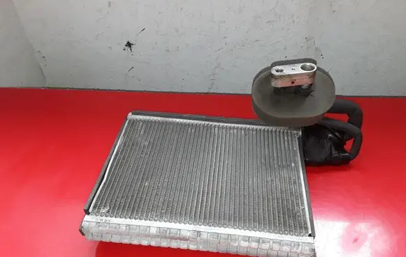 Land Rover Range Rover Sport L320 Air conditioning (A/C) radiator (interior) NOCODE