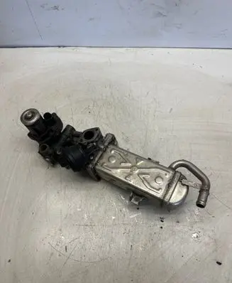 Skoda Roomster (5J) EGR valve cooler 03L131512C 4164109261D
