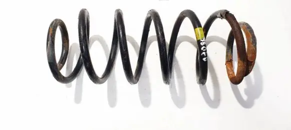 Smart ForFour I Rear coil spring
