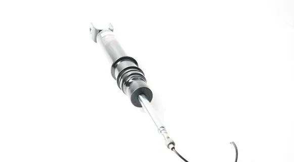 Rear shock absorber/damper