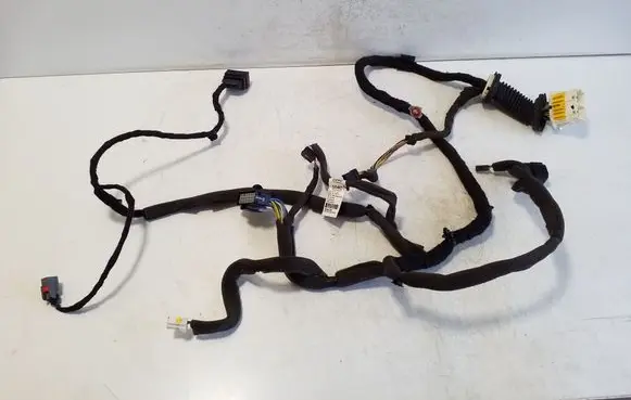 Chevrolet Captiva Front door wiring loom 95491040