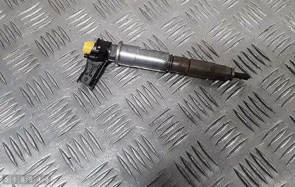 Renault Koleos I Fuel injector 0445115007 H82409398