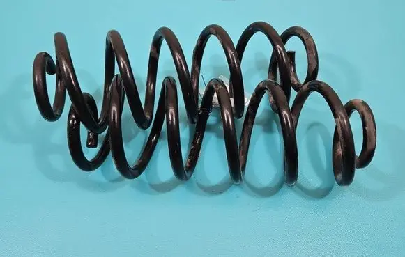 Rear coil spring