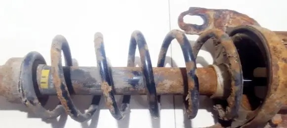 Opel Vectra B Rear coil spring