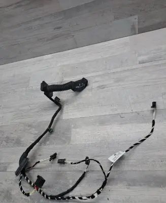 Rear door wiring loom