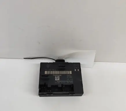 Porsche Panamera (970) Door control unit/module 7PP959795H