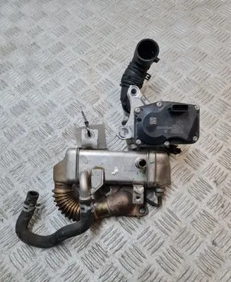Nissan Qashqai EGR valve H8201068965 147350678R
